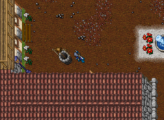 Deeper Fibula Quest - Tibia Wiki - A Enciclopédia do Tibia