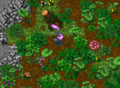 25 Years of Tibia Quest Portal 4-2.png