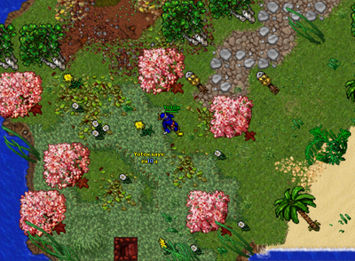 Chayennes realm11.png