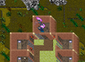 25 Years of Tibia Quest Portal 6-1.png