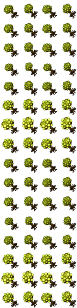 Arquivo:Outfitter 1773.png