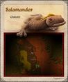 Salamander