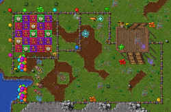 Lucky Dragon em Edron.