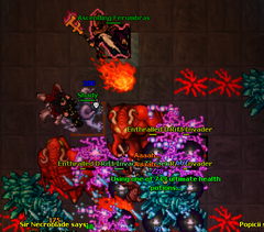 AscdFerumbras Fight 1.png