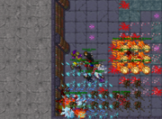 The Secret Library Quest - Tibia Wiki