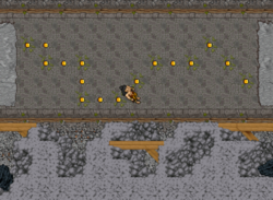 Newhaven Legion Helmet02.png