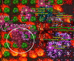 AscdFerumbras Fight 2.png