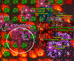 AscdFerumbras Fight 2.png