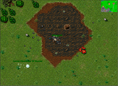 Entrada da Otherworld em Kazordoon.