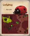 Artwork Ladybug.jpg