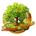 Summer Tree.png