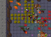 The Secret Library Quest - Tibia Wiki