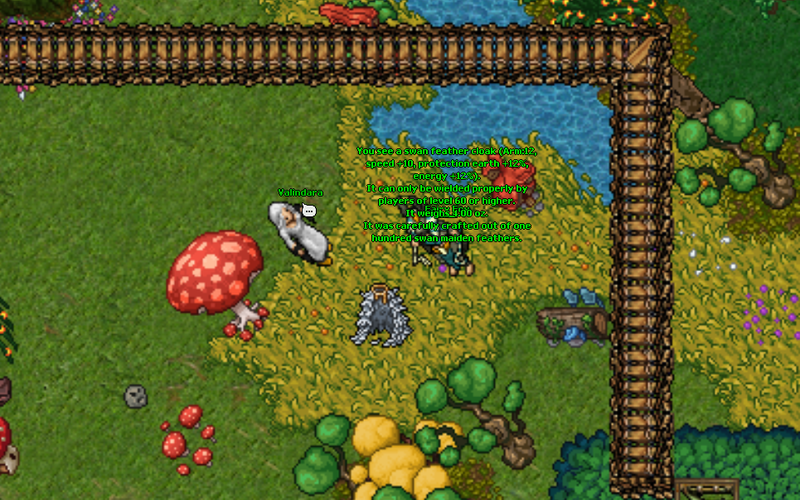 Arquivo:Swam Cloak Quest 9.png