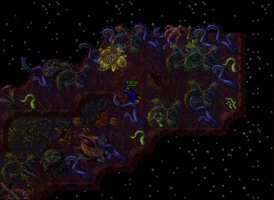 Chayennes realm9.png