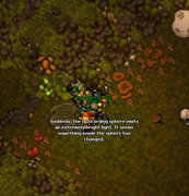 Gnomegate Mushroom Gardens