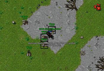 Carlin Wasps Raid.jpg