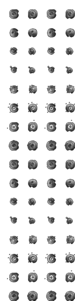 Arquivo:Outfitter 316.png