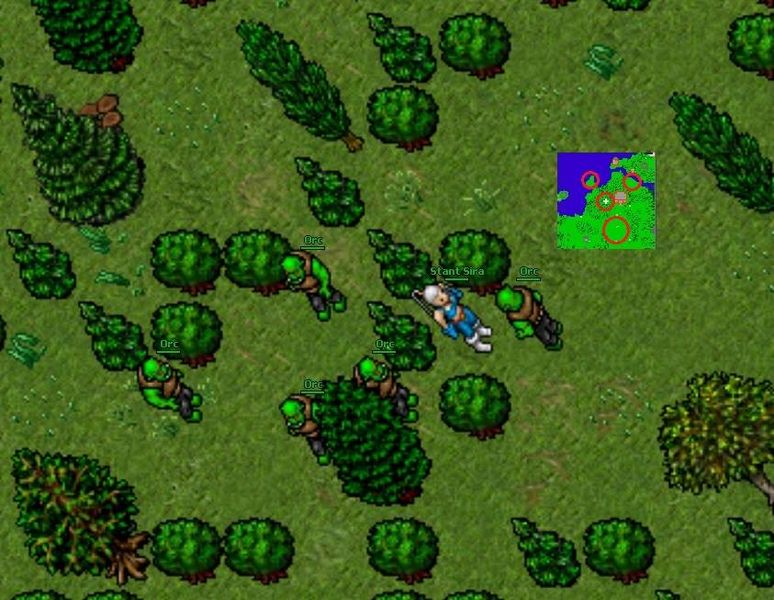 Arquivo:Thais Orc Raid.jpg