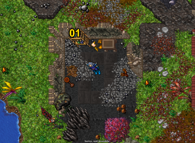 Arquivo:Zao The Great Gate.png