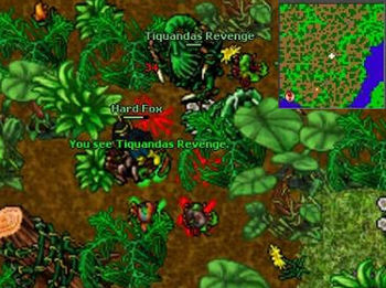 Tiquandas Revenge Raid.jpg