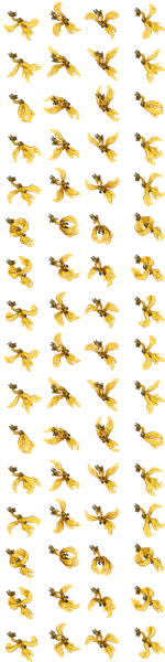 Arquivo:Outfitter 992.png