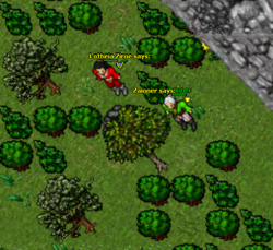 Entrada para buscar a Key