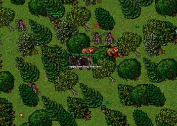 Edron Hunters Wild Warrior s Raid.jpg