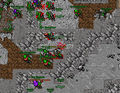 Orc Fortress Warlord Ruzad Raid.jpg