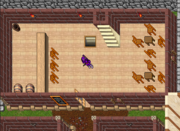 Guildhall of the Red Rose - Tibia Wiki - A Enciclopédia do Tibia
