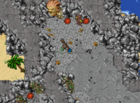 Mensagem ao coletar uma Lion's Mane Flower