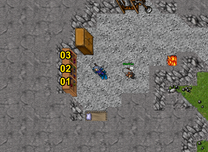 Arquivo:Kazordoon Storkus Library.png