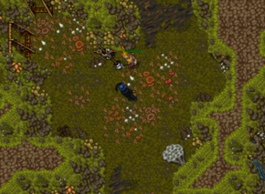 Bigfoots NPC Gnomeral.png