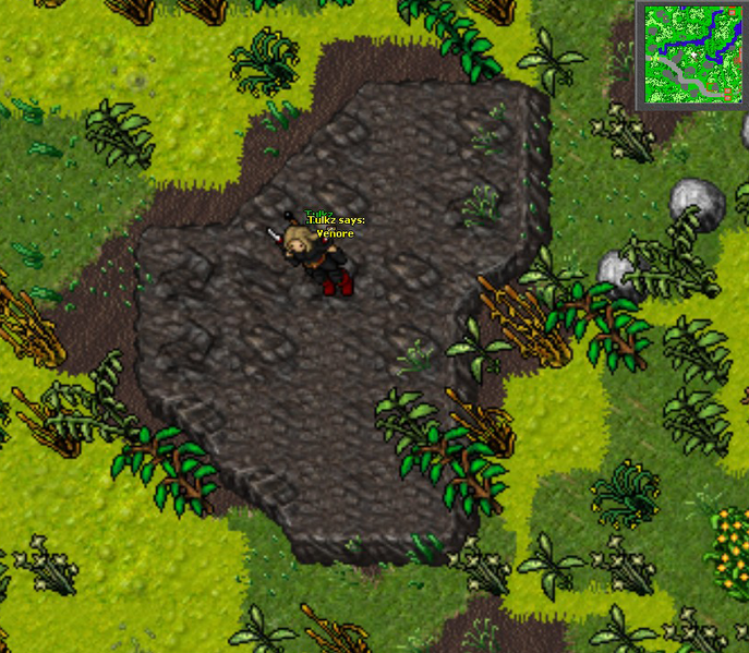 Arquivo:Fury Gate Venore.png