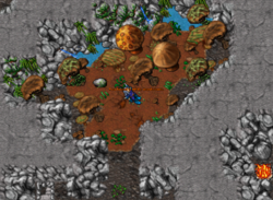 Coletando um White Mushroom