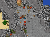 Cortando as pétalas