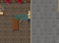 Fale com Scutty em Kazordoon (32576,31916,12:2aqui).