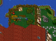 Fale com Cerdras em Carlin na Druid Guild (32302,31816,6:2aqui).