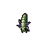 Larva